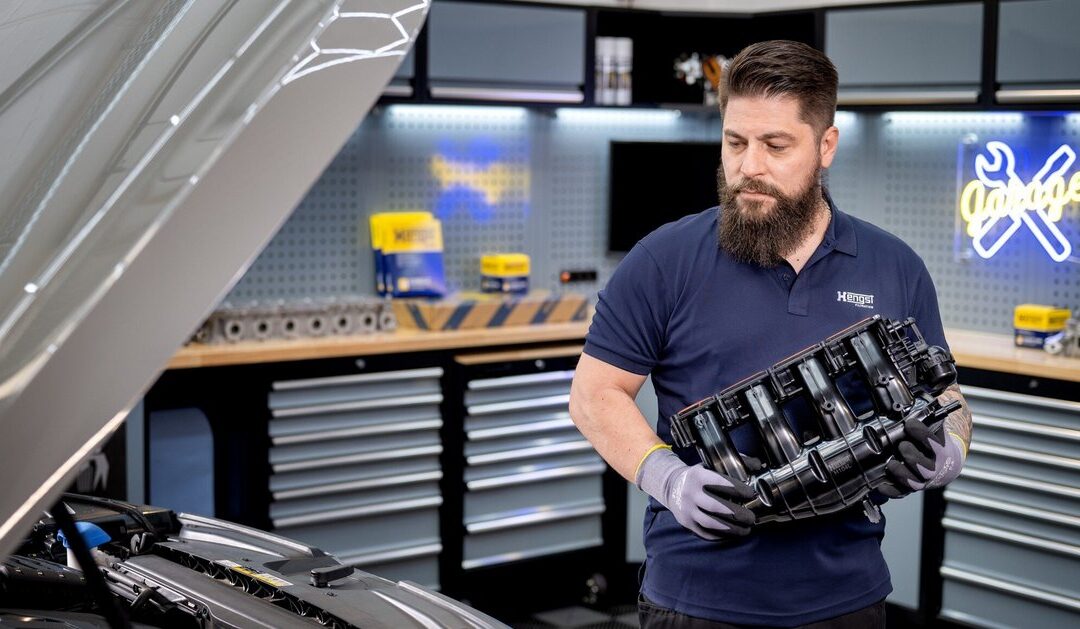 Hengst usisni moduli ( usisne grane )