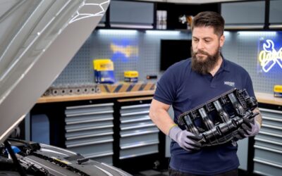 Hengst usisni moduli ( usisne grane )